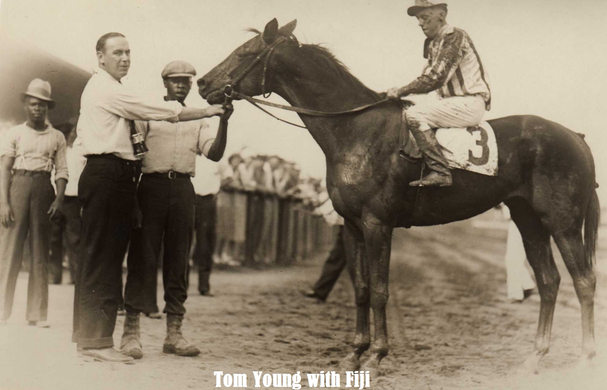 63 Tom Young Fiji paint